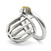 Asylum Chastity Cage