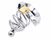 Instituted Cock Cage & Penis Plug