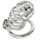 Captivated Stainless Steel Locking Chastity Cage