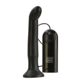 Dr. Joel Kaplan Ez Reach Prostate Vibrator Probe