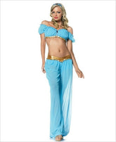 Arabian Princess Costume