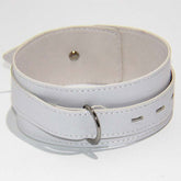 BDStyle Collar Adjustable White Light PVC