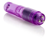 Dr. Laura Berman Athena Waterproof Mini Massager