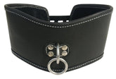 Edge Soft Leather Posture Collar