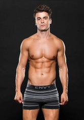 Envy Seamless Trunk Grey Stripes with Logo M/L