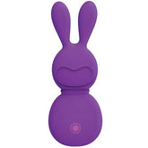 FemmeFunn Bunny Massager