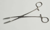 Nipple and Tongue Steel Forceps