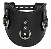 Pain Heavy Duty Padded Posture Collar