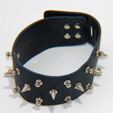 Rocky Studded & Spiked Collar Heavy