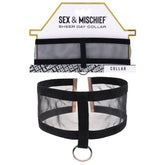 Luxurious S&M Sheer Day Collar - Discreet Sensual Wear