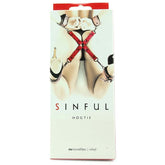 Sinful Hogtie