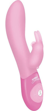 The Pink Ribbon Rabbit Pink