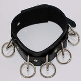 BDStyle Wild Cat BDSM Pleasure-Control Collar-Lead Ensemble
