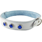 Spartacus Premium Blue Fur-Lined Leather Collar
