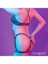 Euphoria Collection Adjustable Fit Riding Thigh Harness