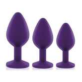 Rianne S Booty Plug 3X Set