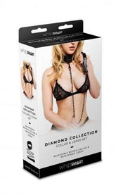 Whipsmart Passion Unleashed - Luxury Leash & Collar Set
