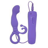 Aphrodisia Little Turtle Prostate Stimulator Vibrating