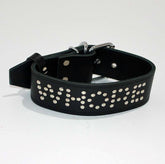 WHORE Leather Bondage Collar