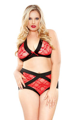 Curve Two Tone Lace Peek-A-Boo Cutout