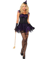 Enchanting Mistress Costume