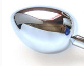 Surgical Steel Sex Egg