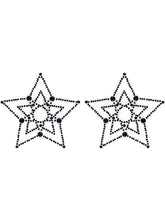 Crystal Star Adult Pasties For Women