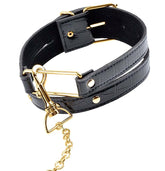 Fetish Fantasy Gold Bondage Collar and Leash Set