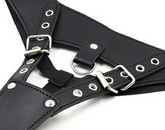 Open Front BDSM Panties