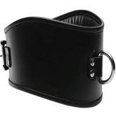 BDStyle Fetish Neck Posture Collar - Bondage Accessory with D-Ring