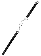 Asylum Hook Mouth Spreader Gag