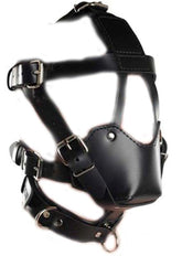Head Harness & Muzzle Light