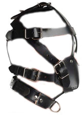 Head Harness & Muzzle Light