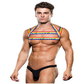 Envy Rainbow Mens Chest Harness