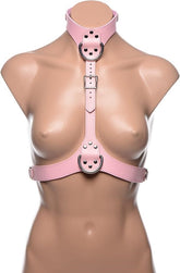 Frisky Miss Behaved Pink Chest Harness