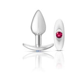 Cheeky Charms Silver Anchor Butt Plug With Jewel Kit