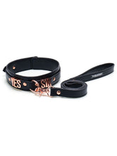 BMS Factory Punishment Rose Gold Yes Sir Collar and Leash