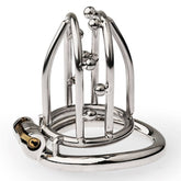 BDStyle Chastity Opening Cage With Chastity Lock Bent Ring