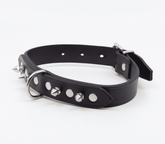 Love In Leather BDSM Collar With Short Dog Spikes