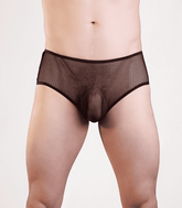 Love In Leather Mens Mesh Sexy Briefs