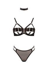 Muse Lingerie 3 Piece Peek a Boo Bra and Panty Set