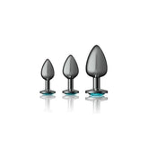 Cheeky Charms Round Metal Butt Plug Kit by Viben