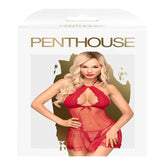 Penthouse Seductive Lace & Mesh 2-Piece Babydoll Set