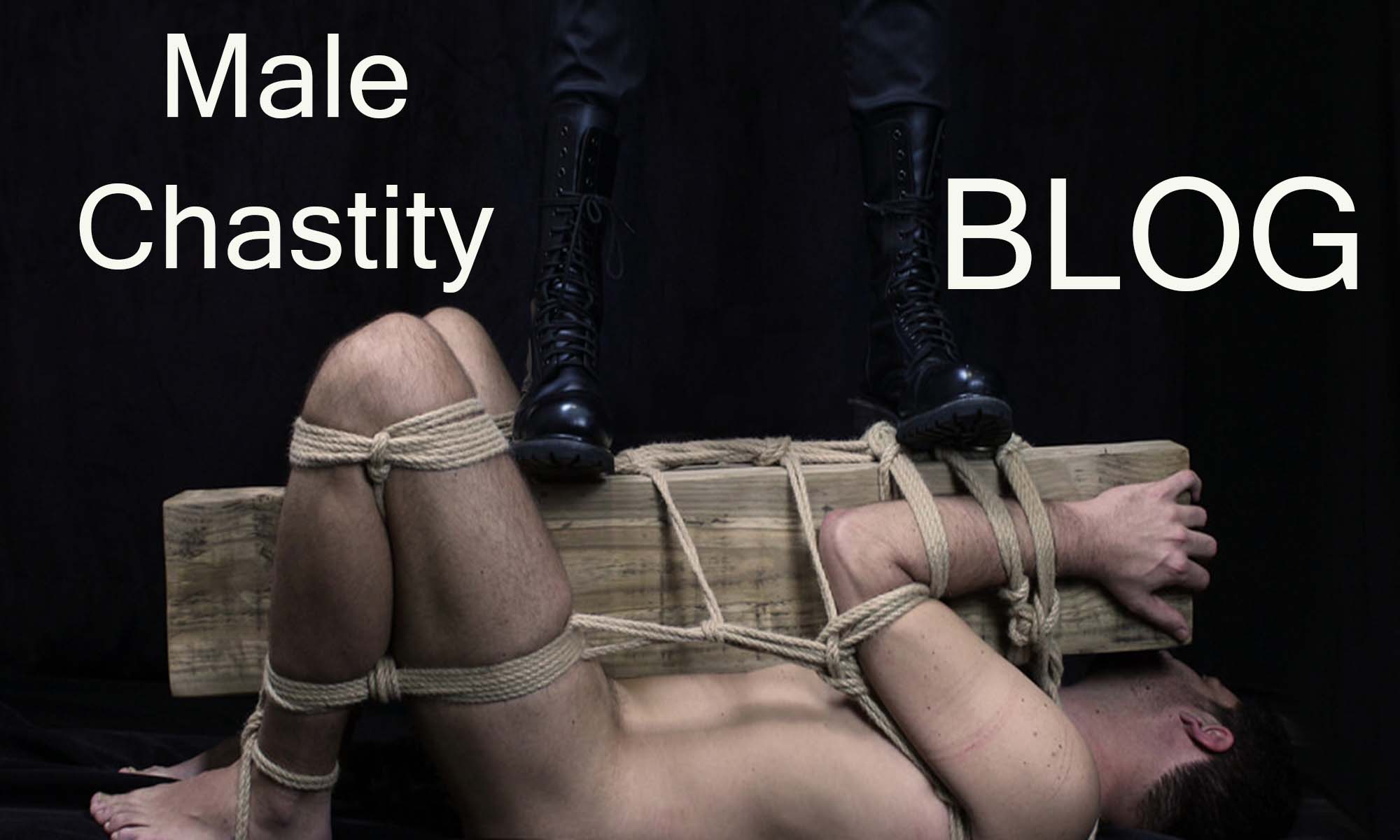 Chastity cuckold blog