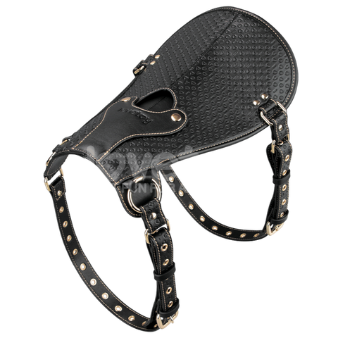 Rebellion Reign Adjustable Dildo Saddle by Lovetoy