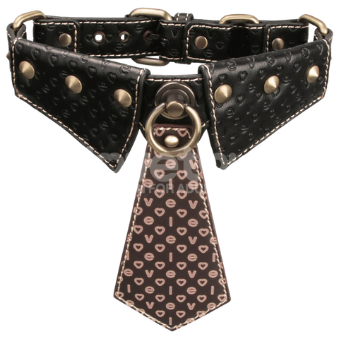 Rebellion Reign Bondage Collar and Leash by Lovetoy