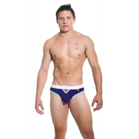 Teaser Brief Purple by Andrew Christian