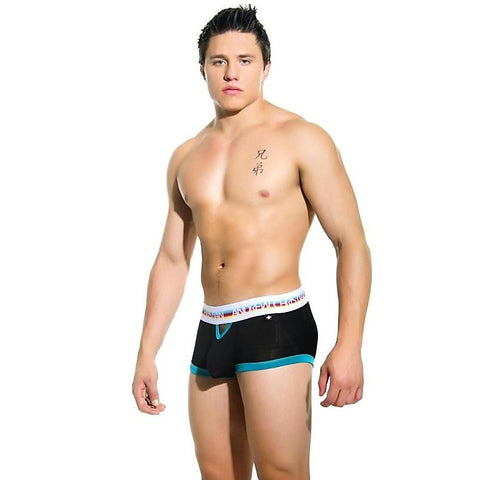 Teaser Boxer Black Large by Andrew Christian