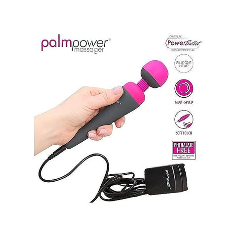 Palm Power Adult Massager Replacement Power Cord