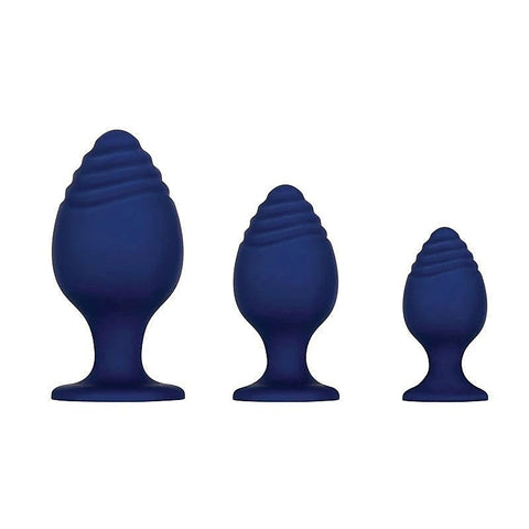 GET YOUR GROOVE ON Butt Plug Set by Evolved